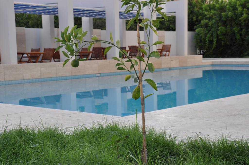 Boutique Suite Mim-A Antalya Zewnętrze zdjęcie